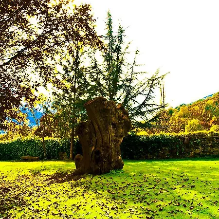 Hostal L'orri Del Pallars Ribera de Montardit